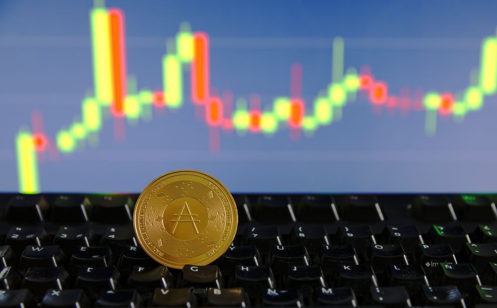Altcoins Future